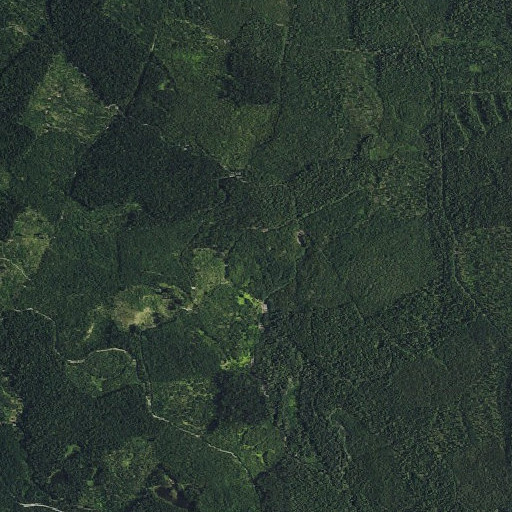 Aerial imagery of Lost Creek Spring, WA
