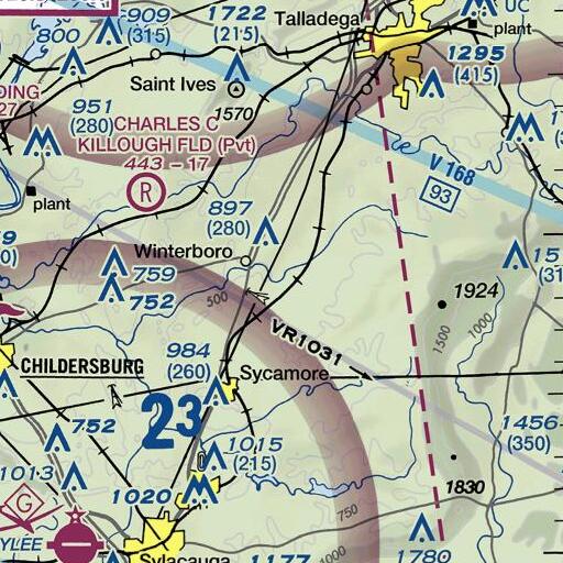 FAA VFR chart of Reynolds Branch, AL