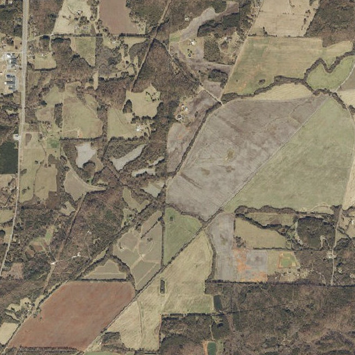 Aerial imagery of Reynolds Branch, AL