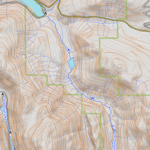OpenTopoMap map of Schallow Lake, WA