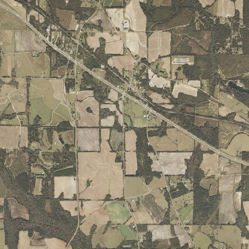 Aerial imagery of Shady Grove Church, AL