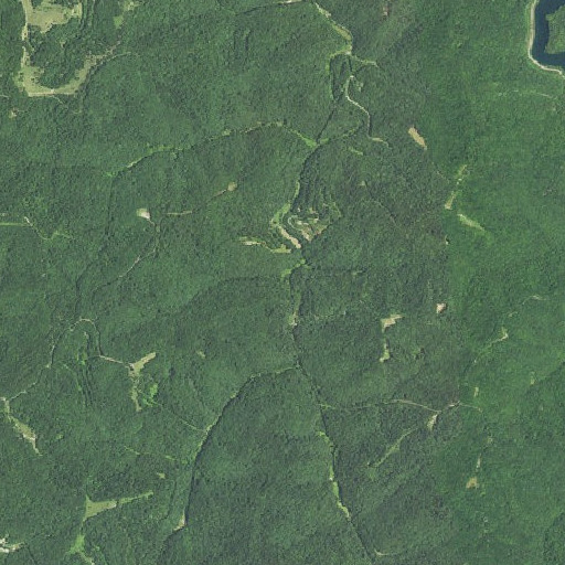 Aerial imagery of Hense Branch, WV