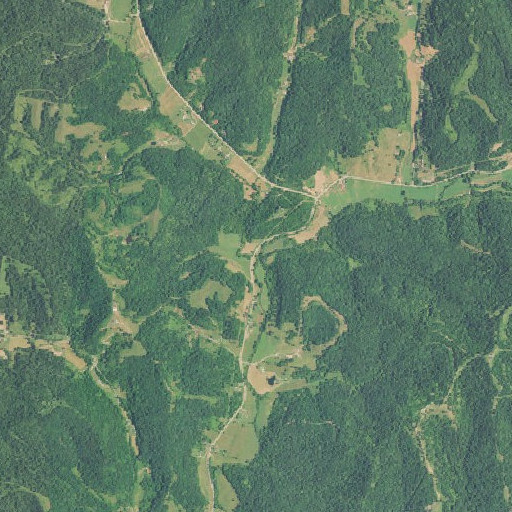 Aerial imagery of Nesselroad Run, WV