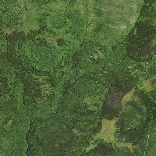 Aerial imagery of Alder Run, WV