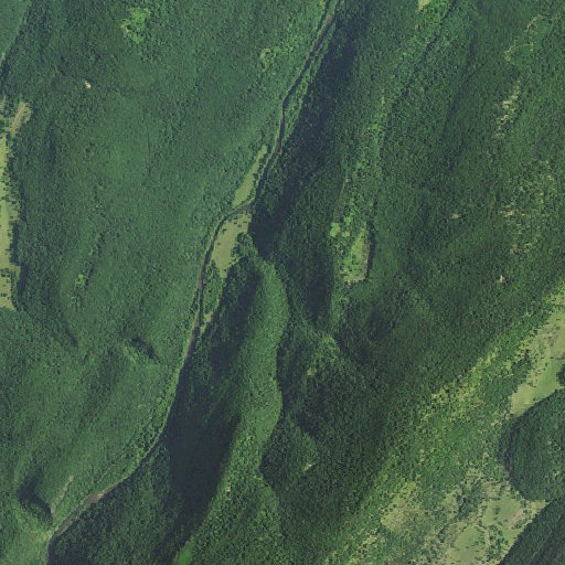 Aerial imagery of Bean Gap, WV
