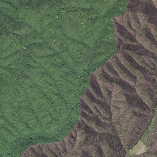 Aerial imagery of Lockridge Run, WV