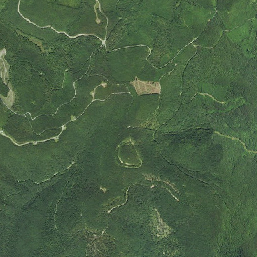 Aerial imagery of Low Gap, WV