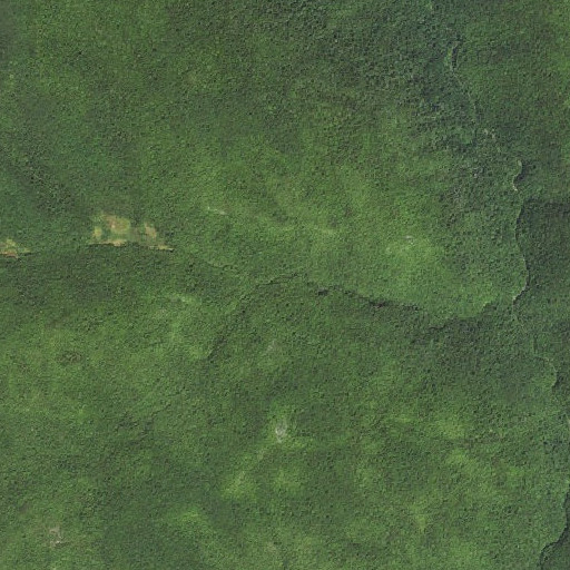 Aerial imagery of Moore Run Trail, WV