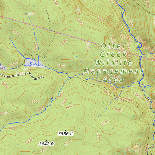 OpenTopoMap map of Moore Run Trail, WV