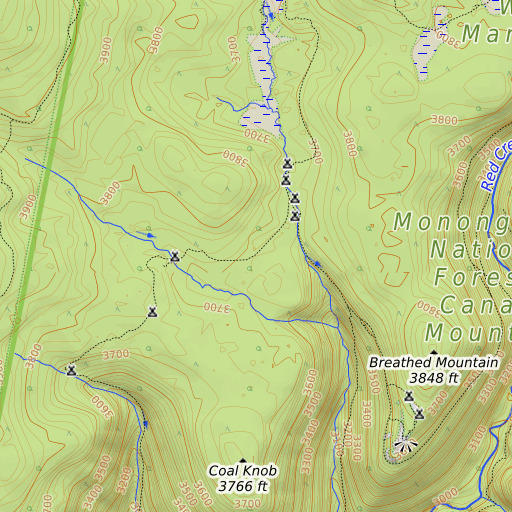OpenTopoMap map of Dunkenbarger Trail, WV
