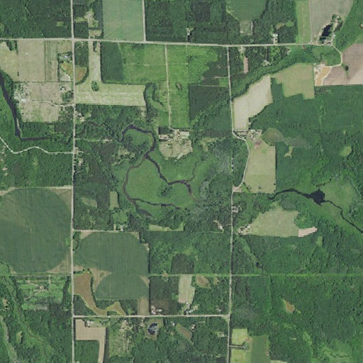 Aerial imagery of South Fork Bean Brook, WI