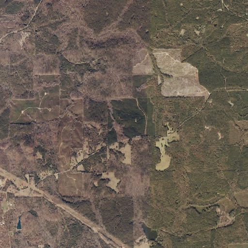 Aerial imagery of Vines Prospect, AL