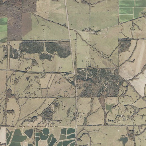 Aerial imagery of Fowler Cemetery, AL