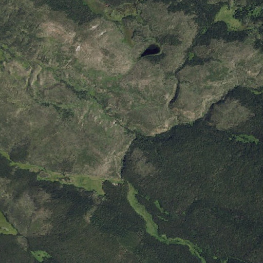 Aerial imagery of Bluff Creek, WY