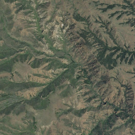 Aerial imagery of Burnt Timer Creek, WY