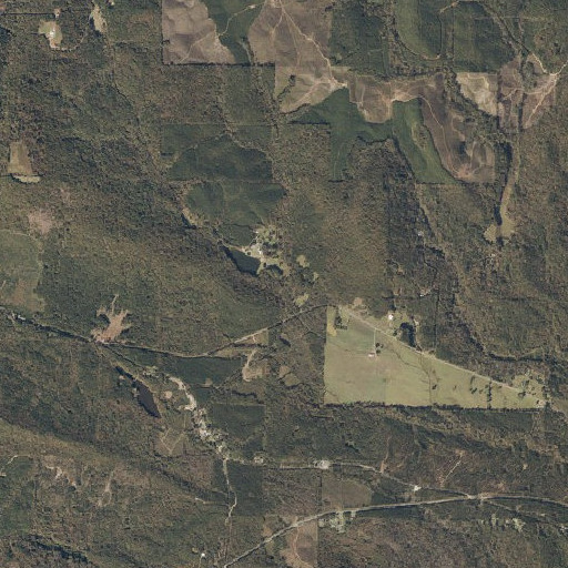 Aerial imagery of Simmons Branch, AL