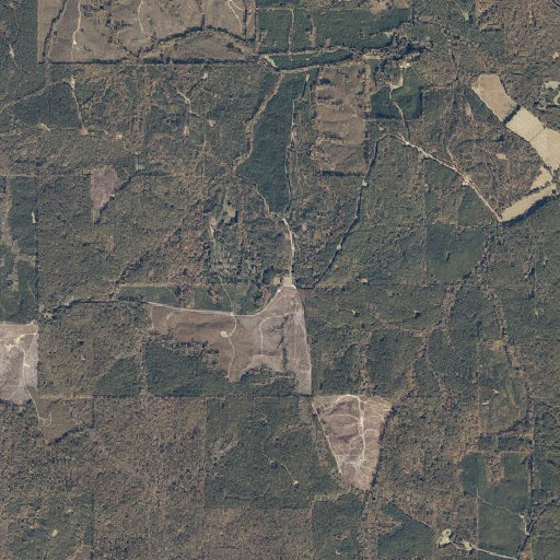 Aerial imagery of Springhill Church, AL