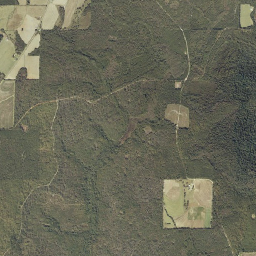 Aerial imagery of Walnut Branch, AL