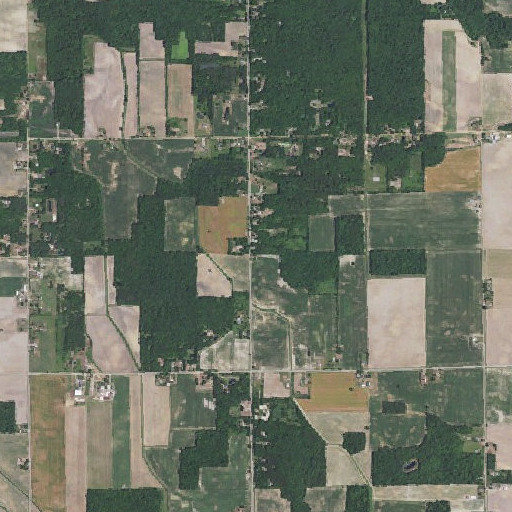 Aerial imagery of Whitney School, MI