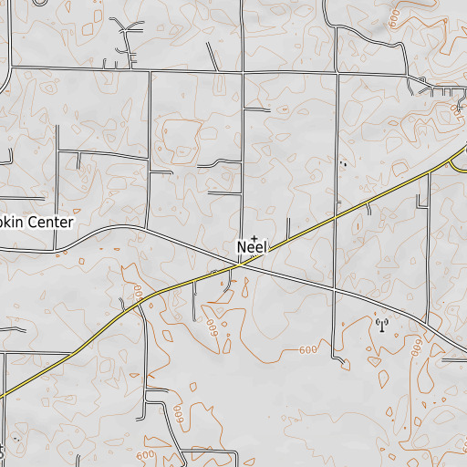 OpenTopoMap map of Neel Elementary School, AL