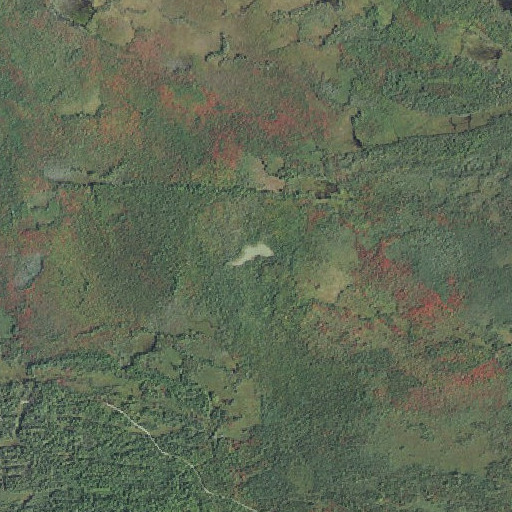 Aerial imagery of Delirium Pond, MI