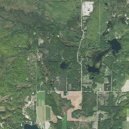 Aerial imagery of Horseshoe Lake, MI
