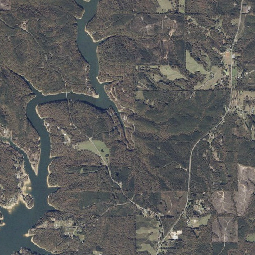 Aerial imagery of Bear Branch, AL