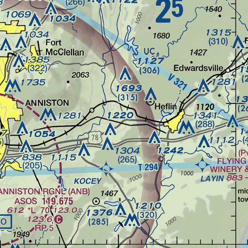 FAA VFR chart of Tally Spring, AL