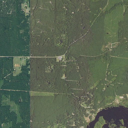 Aerial imagery of Trees Post Office, LA