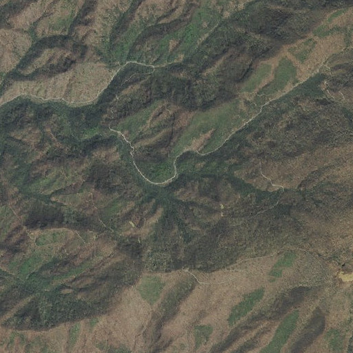 Aerial imagery of Roaring Branch, TN