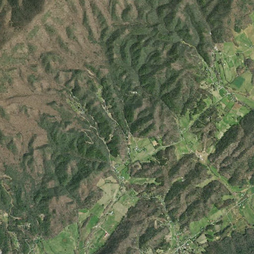 Aerial imagery of Robinson Branch, TN