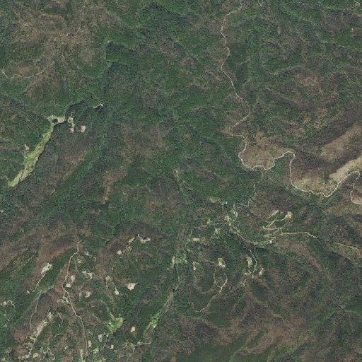 Aerial imagery of Rocky Branch, TN