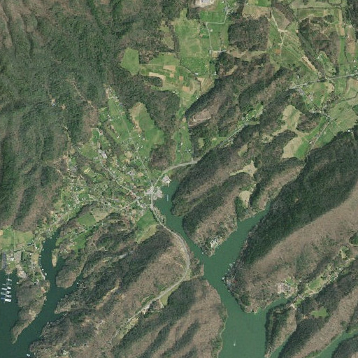 Aerial imagery of Capley Branch, TN