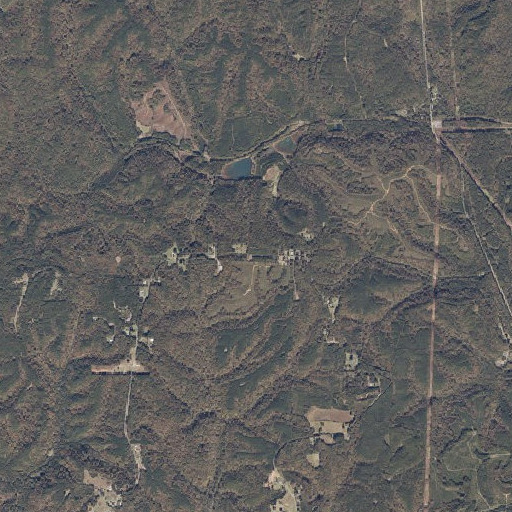 Aerial imagery of Patton Hill Fire Tower, AL