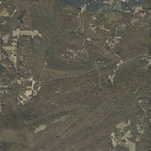 Aerial imagery of Elbow Gap, AL