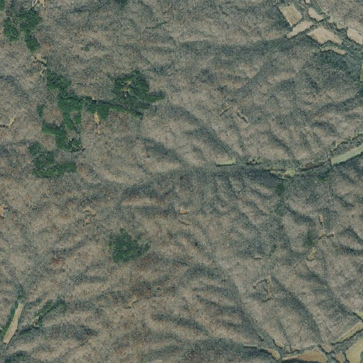 Aerial imagery of Model Division (historical), TN