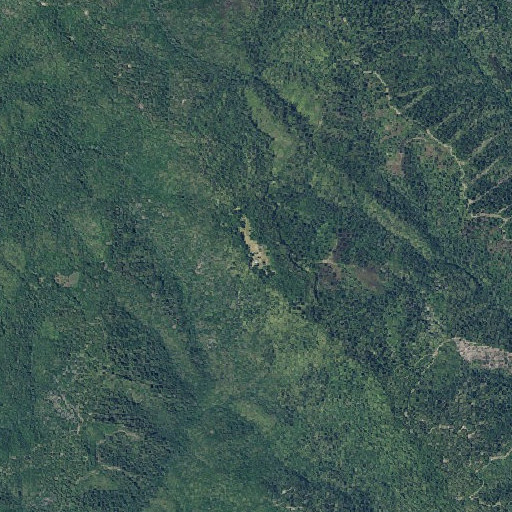 Aerial imagery of Williams Ranch, CA
