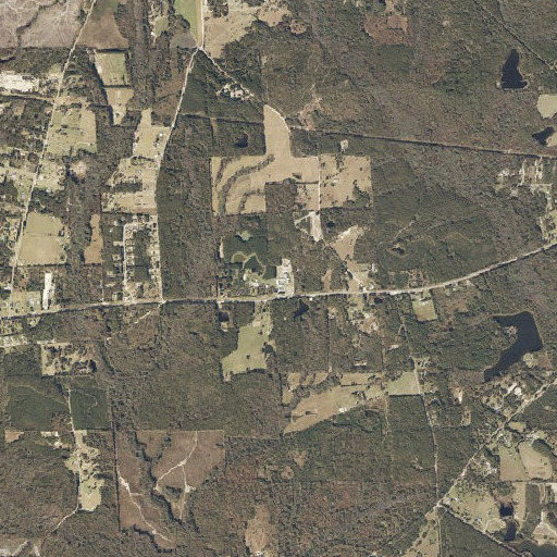 Aerial imagery of Dixie Junior High School, AL