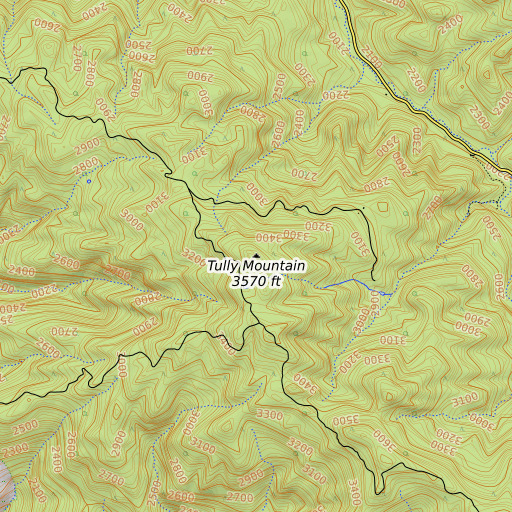 OpenTopoMap map of Tully Mountain, CA