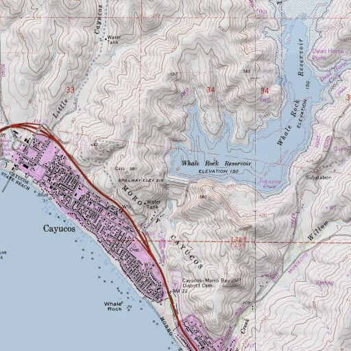 USGS 24K topo map of Whale Rock 1-040 Dam, CA