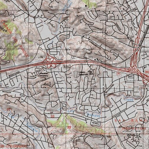 USGS 24K topo map of Leland 31-021 Dam, CA