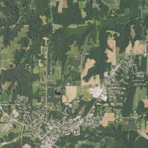 Aerial imagery of Birchlers Lake, IL