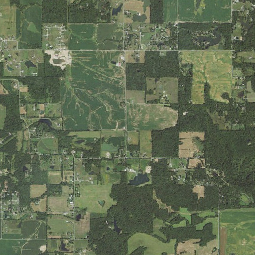 Aerial imagery of Moak School (historical), IL