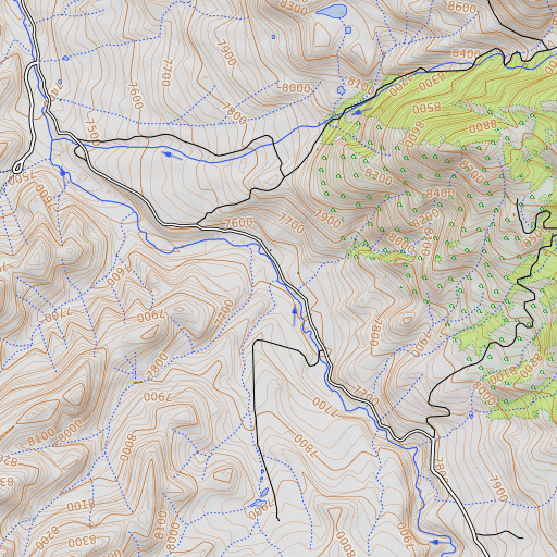 OpenTopoMap map of Pineapple Gulch, CO