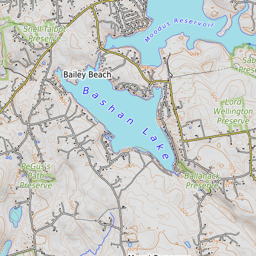 OpenTopoMap map of Bashan Lake Dam, CT