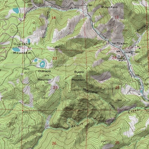 USGS 24K topo map of Bueno Mountain, CO