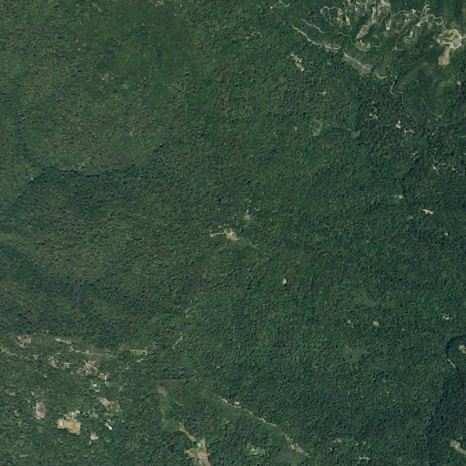 Aerial imagery of Buzzard Lagoon Overview, CA