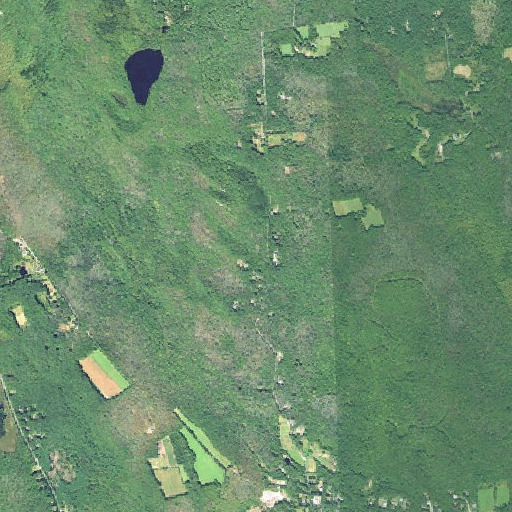 Aerial imagery of Caswell Plot, RI
