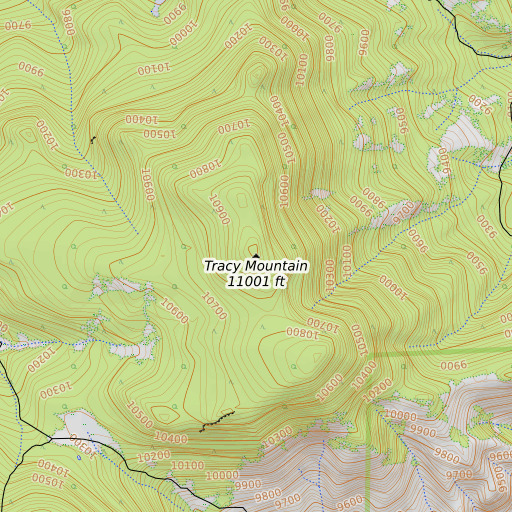 OpenTopoMap map of Tracy Mountain, CO
