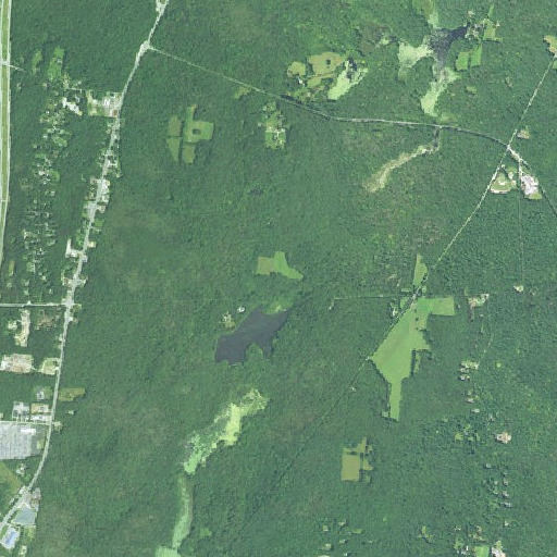Aerial imagery of Lillibridge Plot, RI